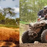 Dirt bike or four wheeler which is safer? (Dirt bike vs ATV safety statistics)